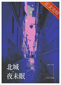 北城夜未眠封面