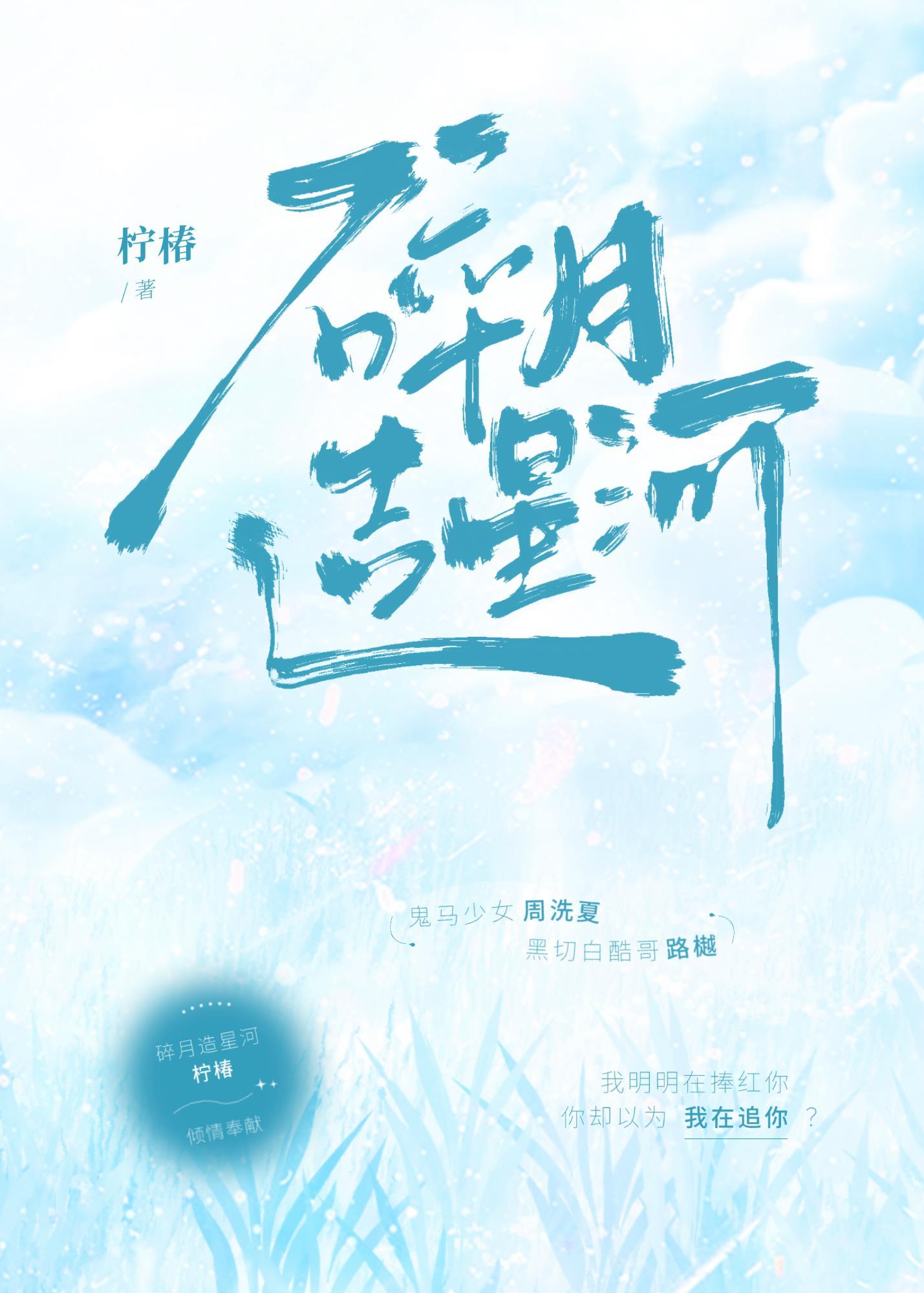 碎月造星河封面