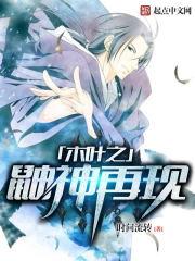 木叶之鼬神再现封面