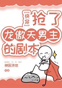 抢走龙傲天的剧本[快穿]封面