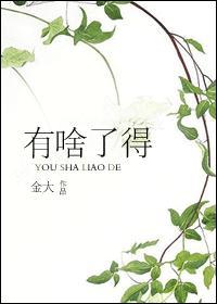 有啥了得封面