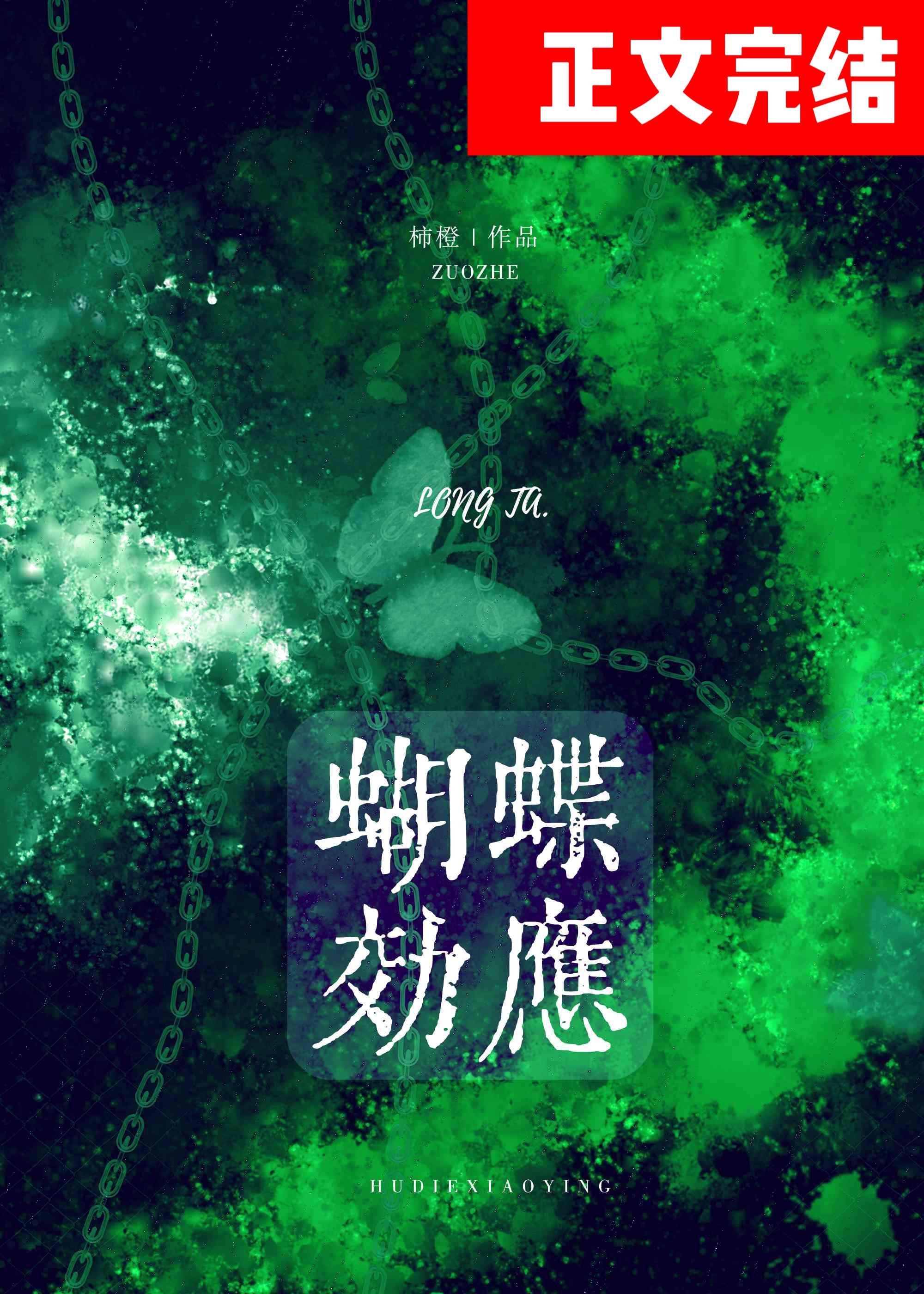 蝴蝶效应封面
