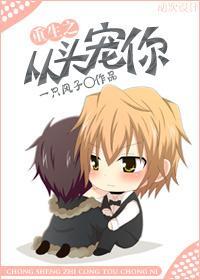 重生之从头宠你封面