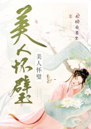 美人怀璧封面