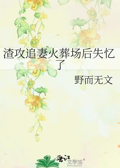 渣攻追妻火葬场后失忆了封面