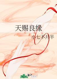 狠毒夫妇对付过日封面