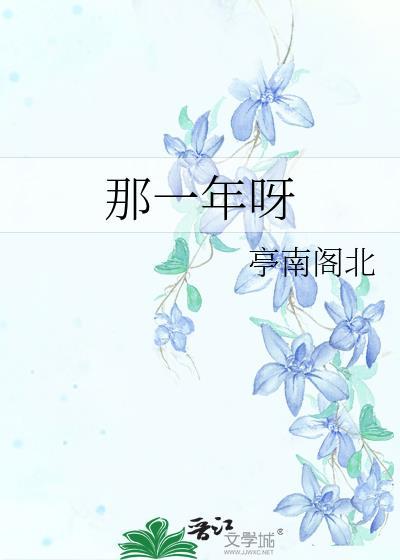 那一年呀封面