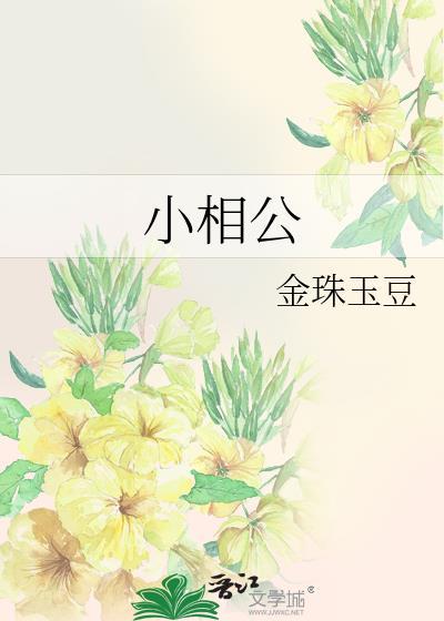 小相公封面