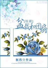 盆栽和团扇封面