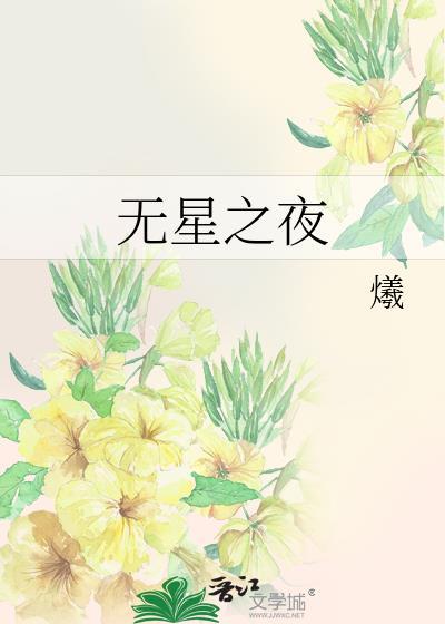 无星之夜封面