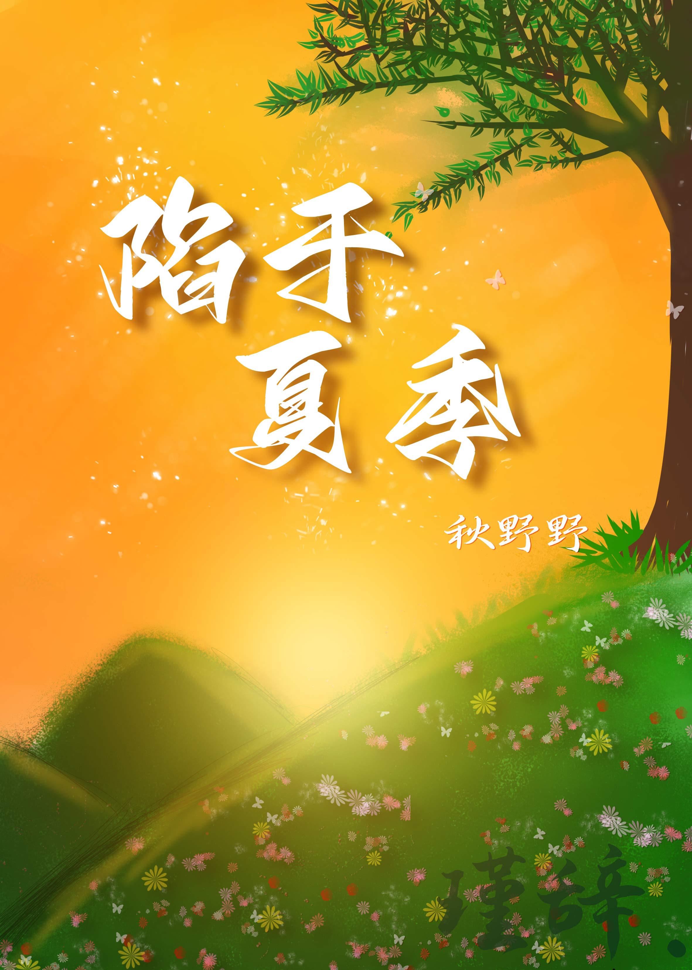 陷于夏季封面