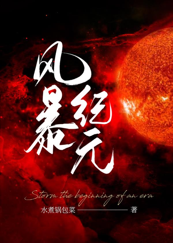 风暴纪元[种田]封面