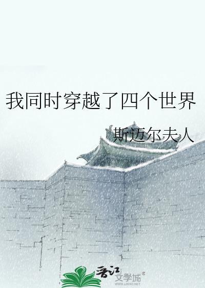 我同时穿越了四个世界封面