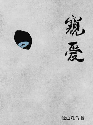 窥爱封面