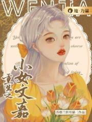 重生之小女文嘉封面