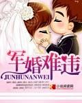 军婚难违封面