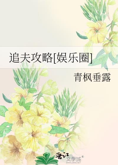 追夫攻略[娱乐圈]封面