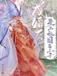 成婚后爱上敌国皇子封面