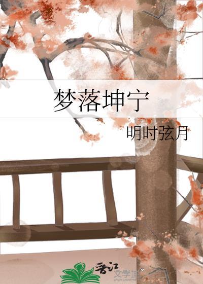 梦落坤宁封面