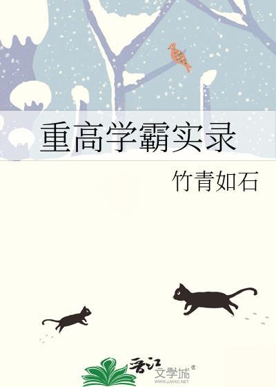 重高学霸实录封面
