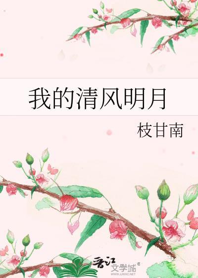 我的清风明月封面
