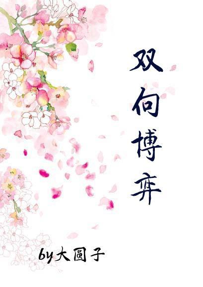 双向博弈封面