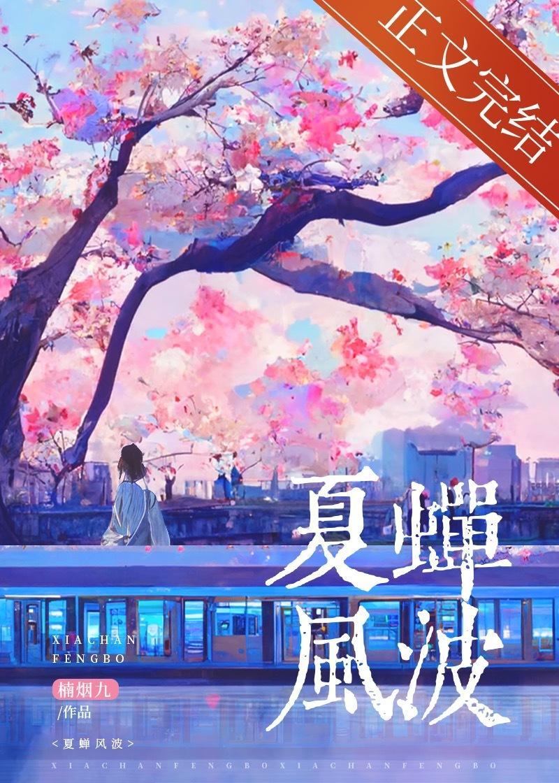 夏蝉风波封面