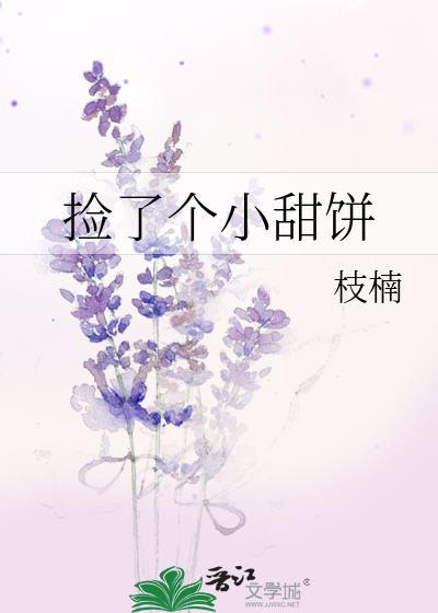 捡了个小甜饼封面