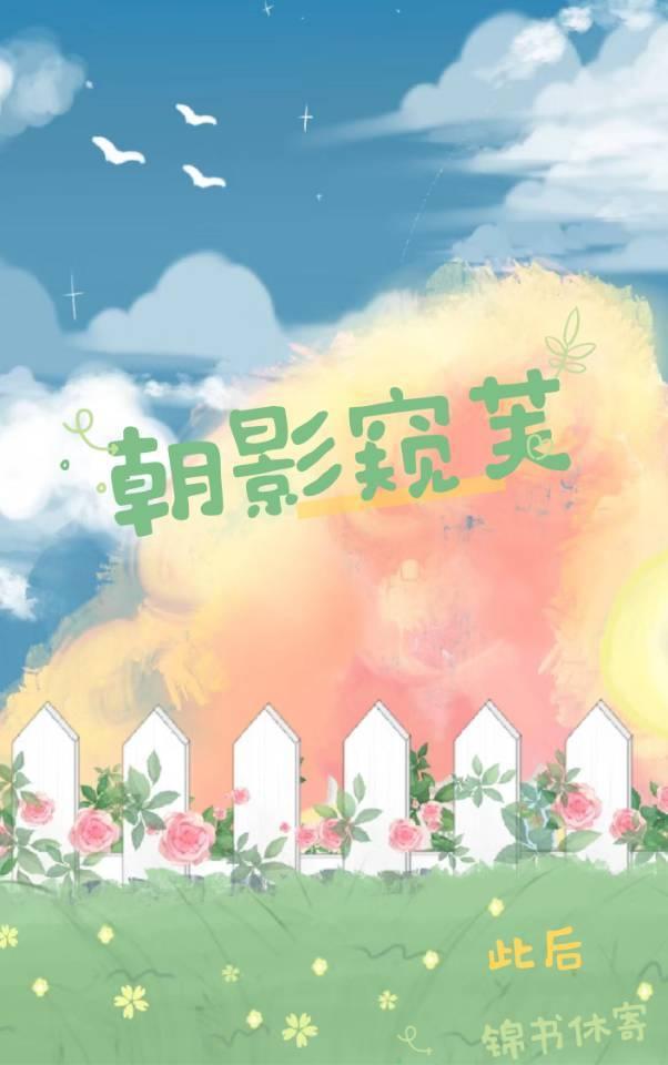 朝影窥芙封面