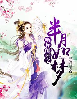唤你醒来之半月如梦封面