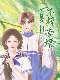 夏日不撞南墻封面