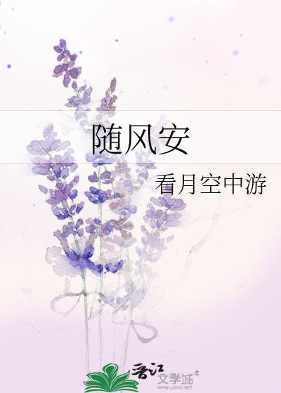 随风安封面