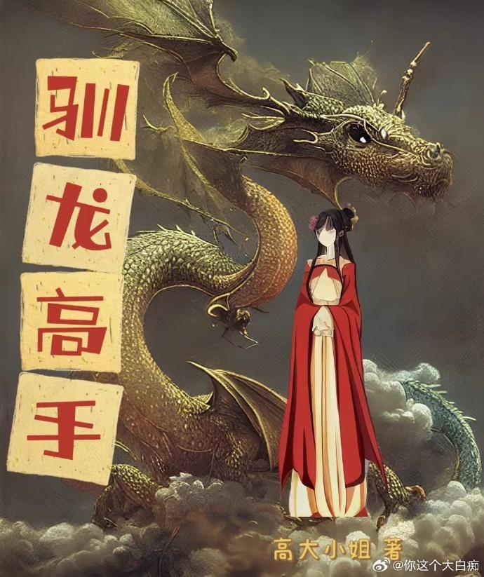 驯龙高手封面