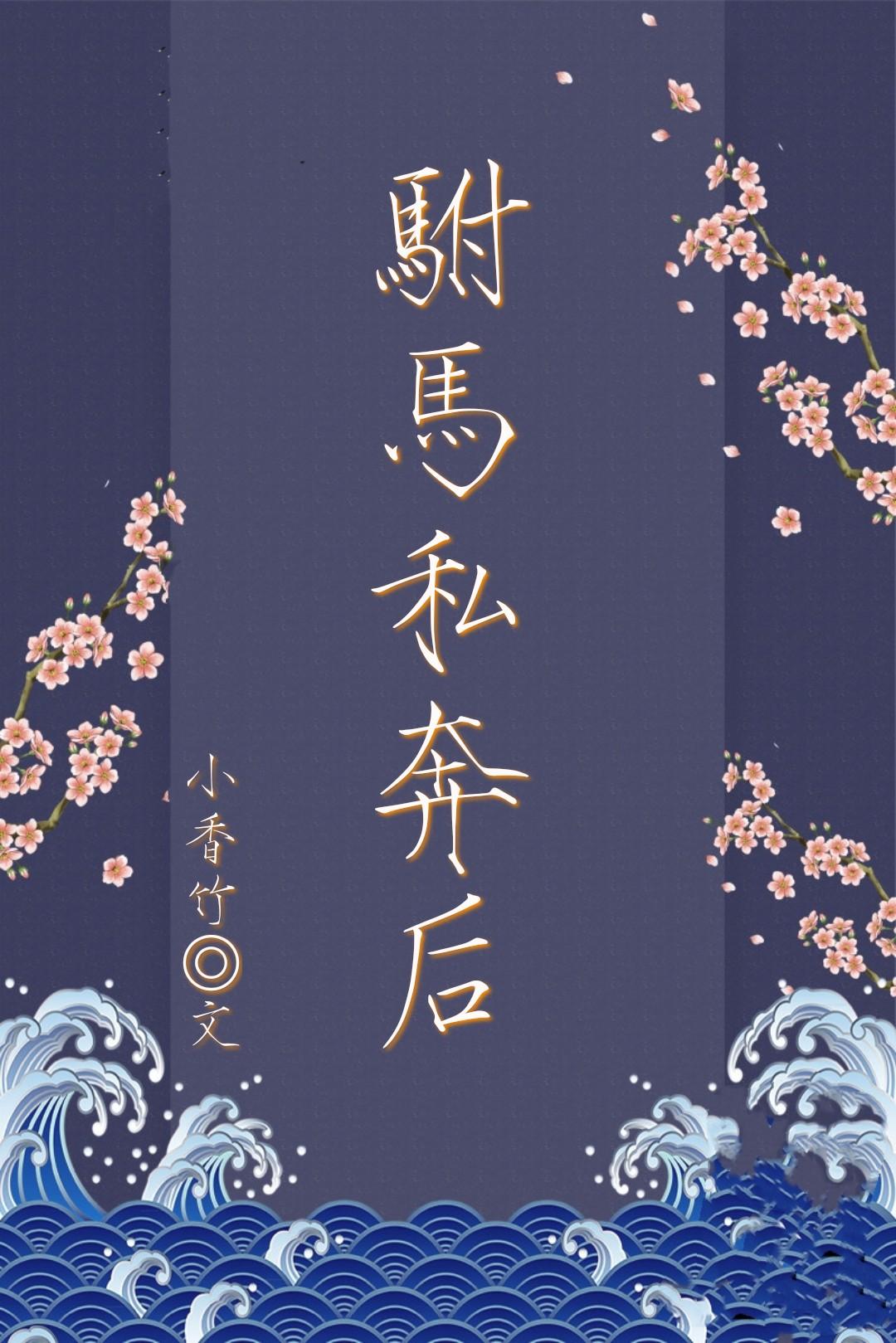 驸马私奔后封面