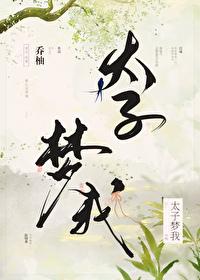 太子梦我封面
