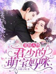 宠你入怀：君少的萌宝妈咪封面