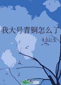 我大号青铜怎么了封面