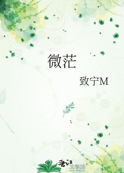 微茫封面