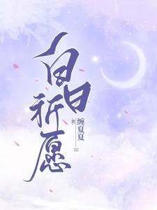 白日祈愿封面