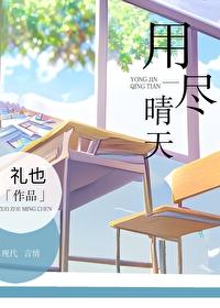 用尽晴天封面