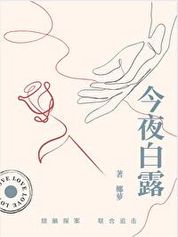 小镇谜案封面