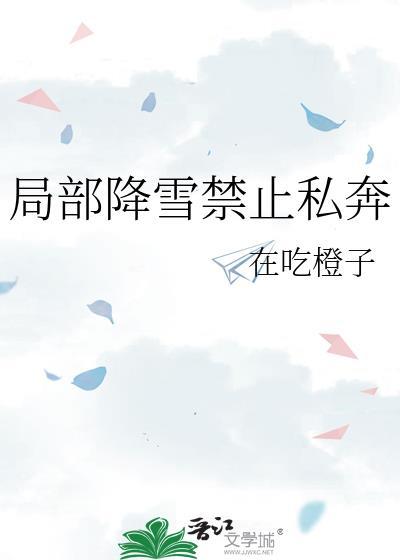 局部降雪禁止私奔封面