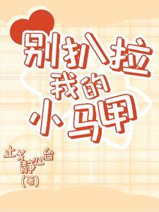 别扒拉我的小马甲封面
