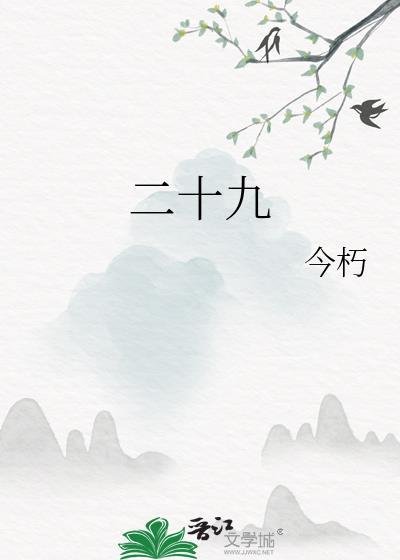 二十九封面