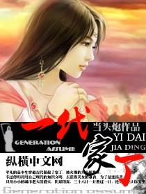 一代家丁封面
