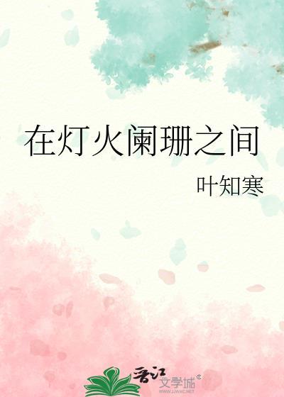 在灯火阑珊之间封面