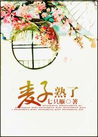 大男子小媳妇封面