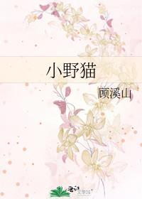 小野猫封面