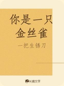 你是一只金丝雀封面