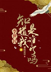 李世民知道我是谁了吗封面